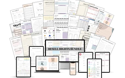 Resell Right Bundle (digital-vault.systeme.io/200-canva-plr-templates) – Review and Bonus