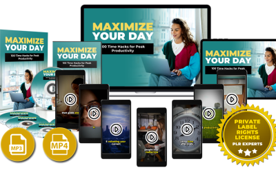 (PI Firesale) Maximize Your Day (plrexperts.com/w/Prod/vf1) – Review and Bonus