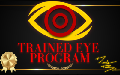 The Trained Eye Program (denisbel.com/the-trained-eye-program) -Review and Bonus