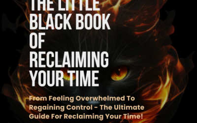 The Little Black Book Of Reclaiming Your Time (checkout-ds24.com/product/583454) -Review and Bonus