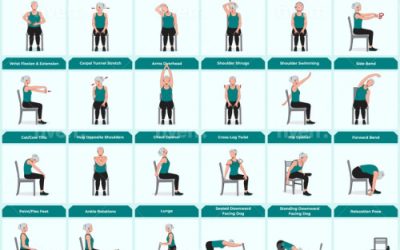 Chair Yoga Exercise for Beginners Bundle (checkout-ds24.com/product/595485) -Review and Bonus