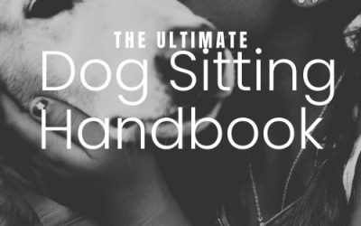 Dog Sitting Success Guide – PLR – 50% Commission (checkout-ds24.com/product/595221) -Review and Bonus