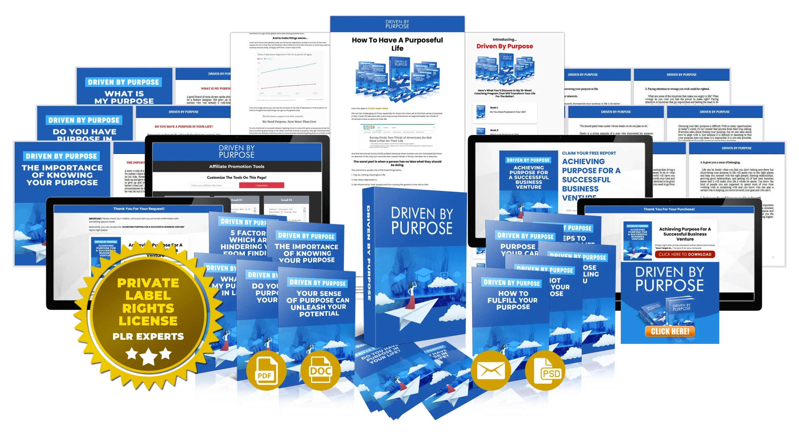 Driven By Purpose (plrexperts.com/w/pd/vol10-3) - Review and Bonus