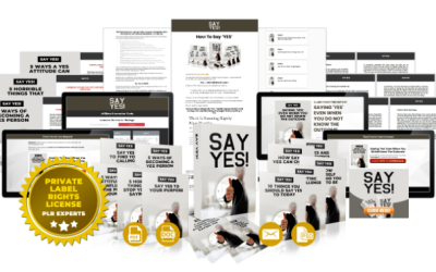 Say YES -Review and Bonus worth $1000+