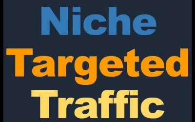 Niche Targeted Traffic Pack – 100% USA Traffic – Review and Bonus Worth $1000+