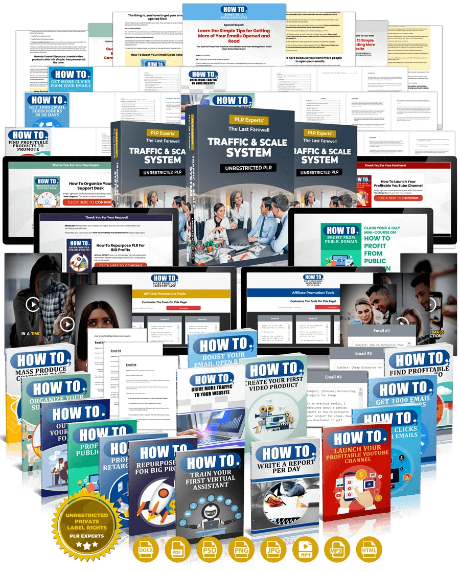 Traffic & Scale System - Review and Bonus Worth $1000+