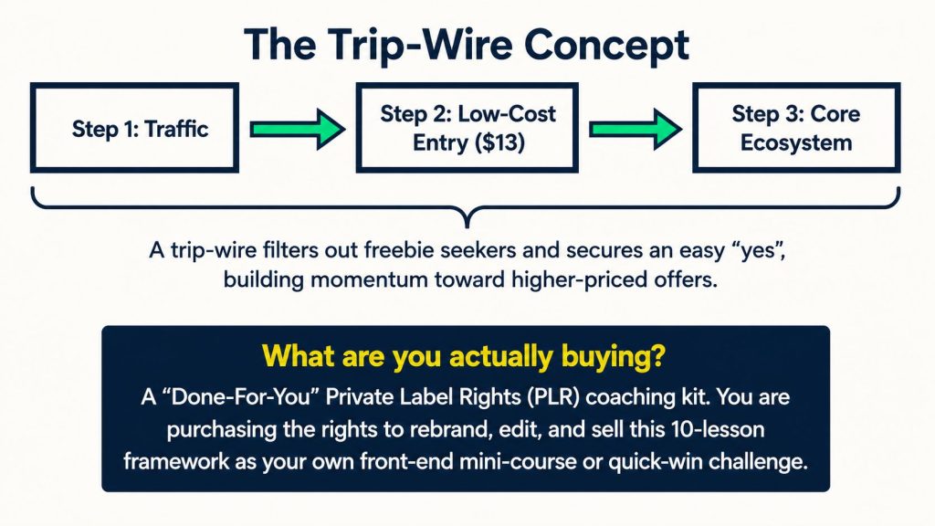 PLR Firesale AI-Conversion Funnel System Review